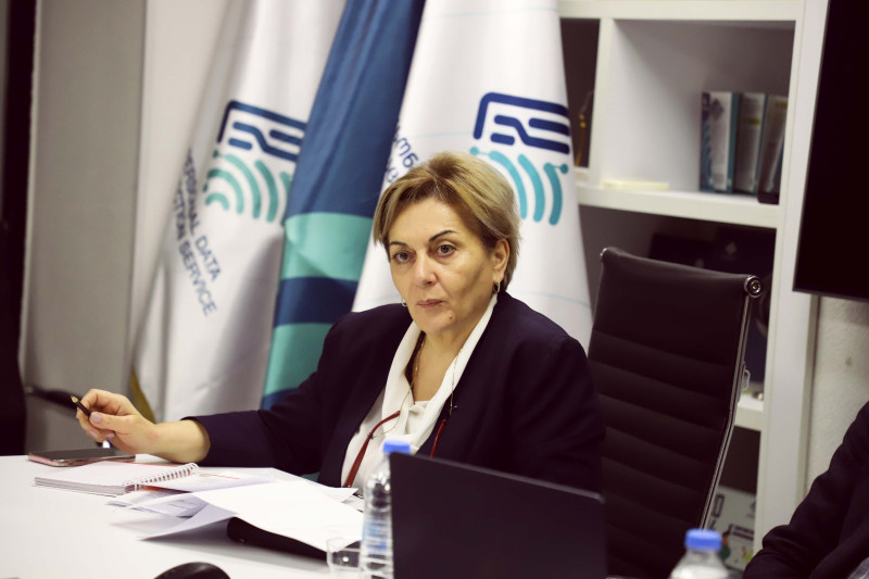 შეხვედრა საგანმანათლებლო რესურს-ცენტრების წარმომადგენლებთან