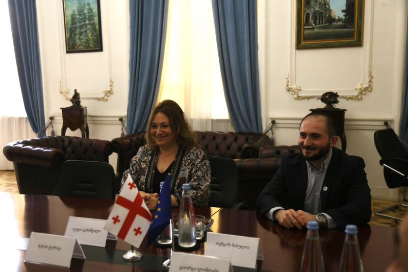ლელა ჯანაშვილი საკონსტიტუციო სასამართლოს თავმჯდომარეს შეხვდა